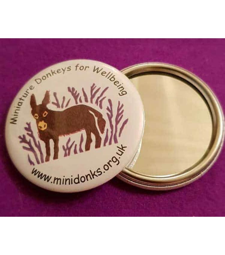 Minidonks Mirror