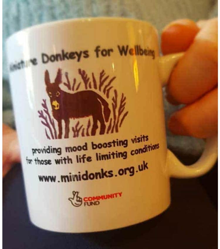 Minidonks Mug