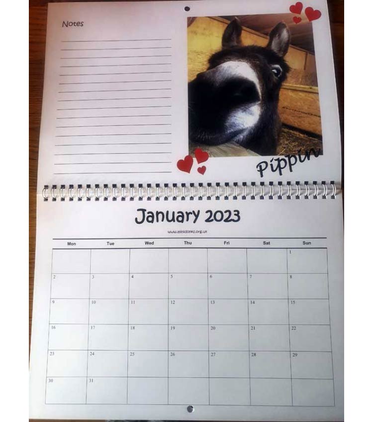 Minidonks Calendar 2023
