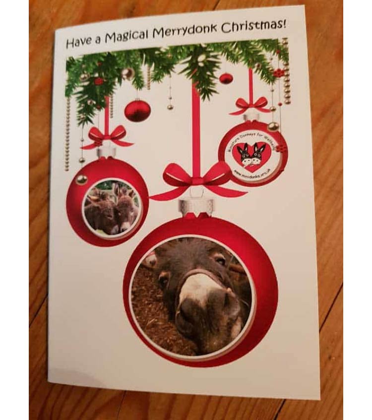 10 x ‘Magical Merrydonk’ Christmas Cards