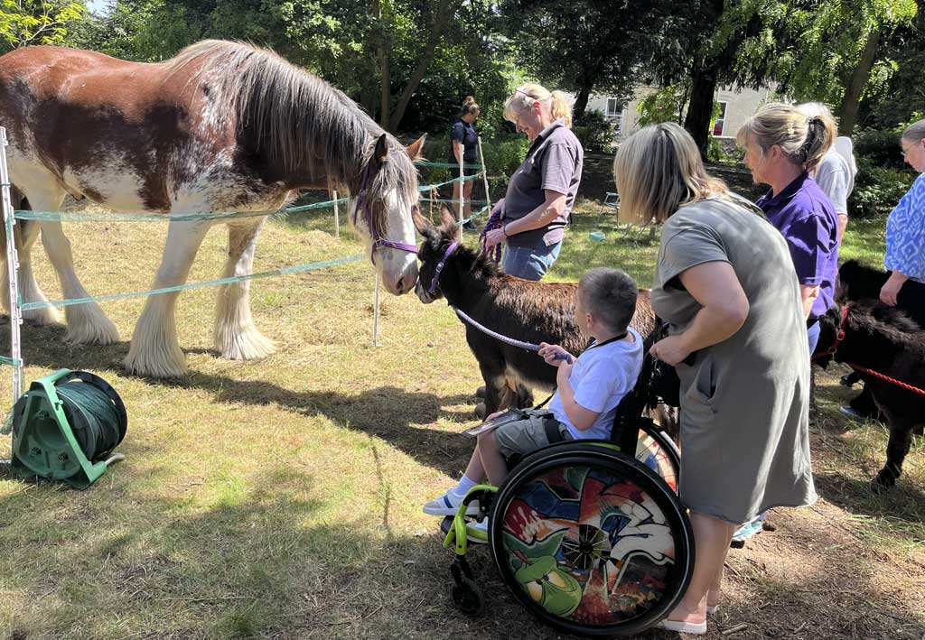 walking-and-wheel-chair